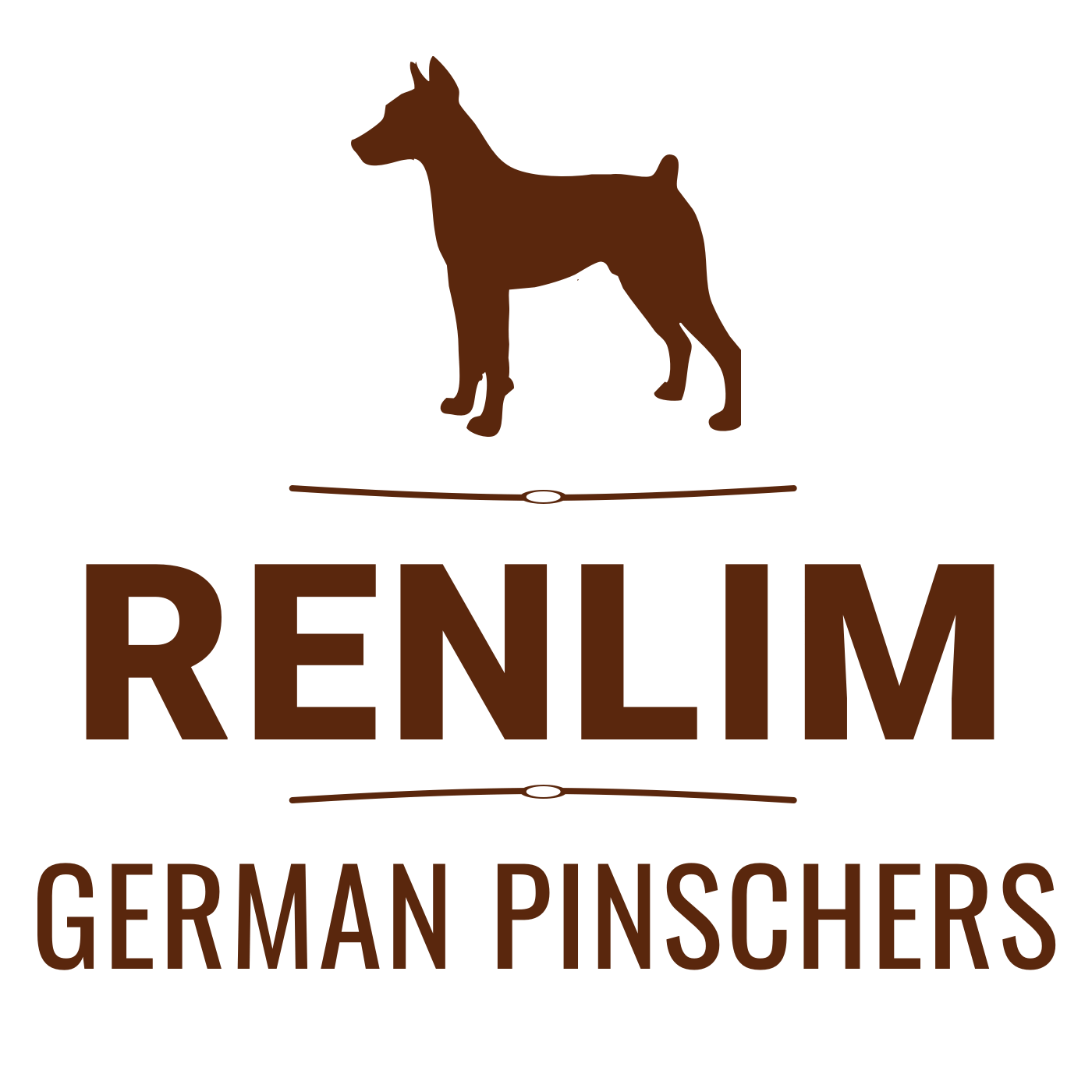 Renlim German Pinschers